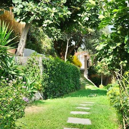Artistic With Sea Views Near *